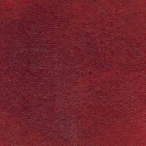 Angelus Leather Dye - Bismark Brown