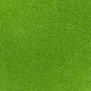 Angelus Leather Dye - Kelly Green
