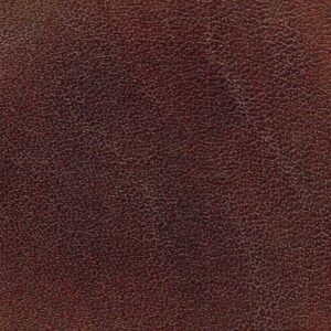 Angelus Leather Dye - Spice